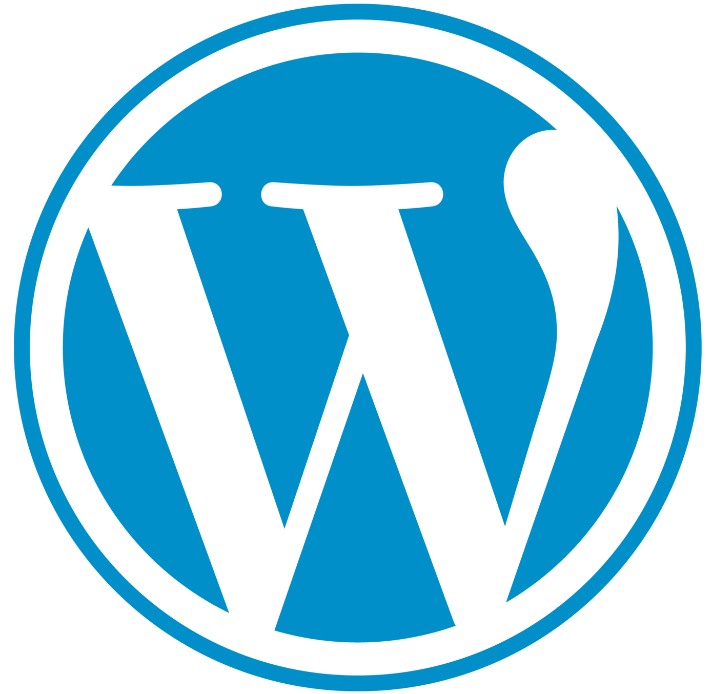 logo wordpress cms utilisé par perfweb